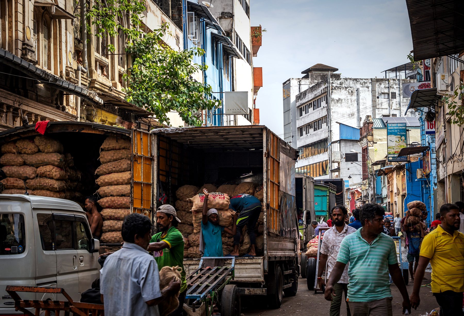 Abstract depiction of Sri Lankan agricultural trade and global connection